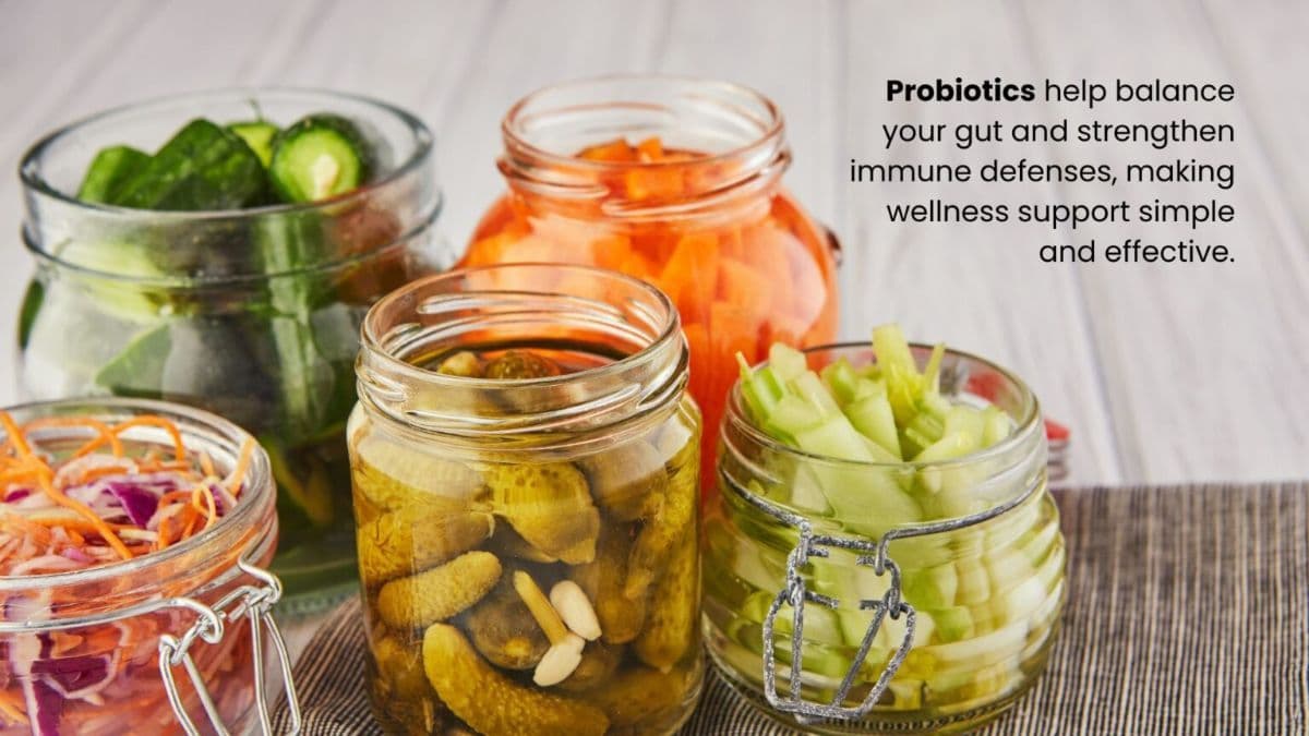 The Hidden Power of Probiotics and Immune Health: How Your Gut Shapes Your Body’s Defense